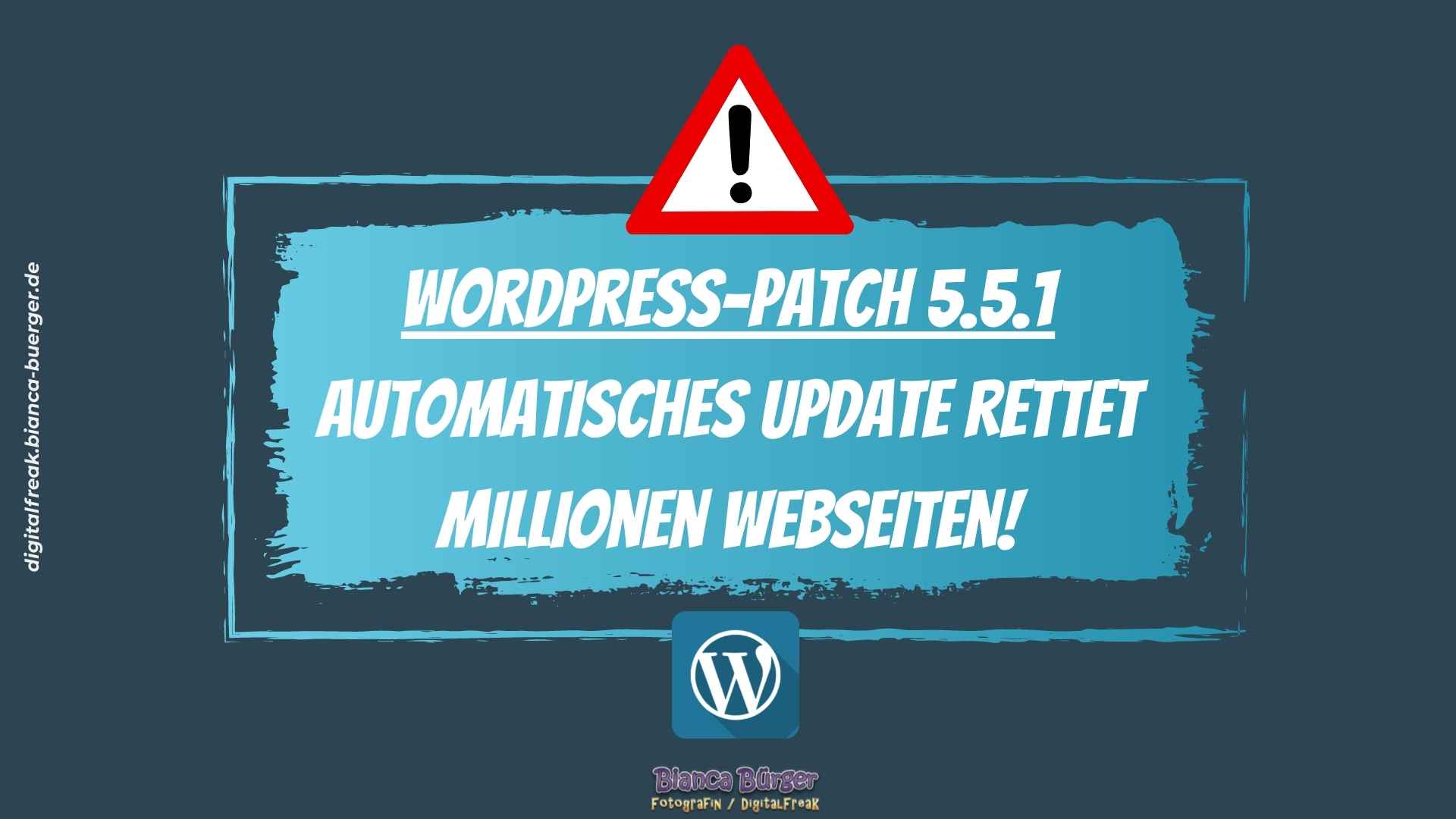 WordPress-Patch 5.5.1 - Automatisches Update rettet Millionen Webseiten 11