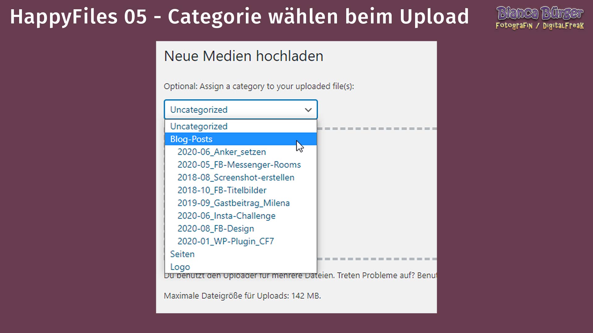 Ordnung schaffen mit dem WordPress-Plugin HappyFiles 7