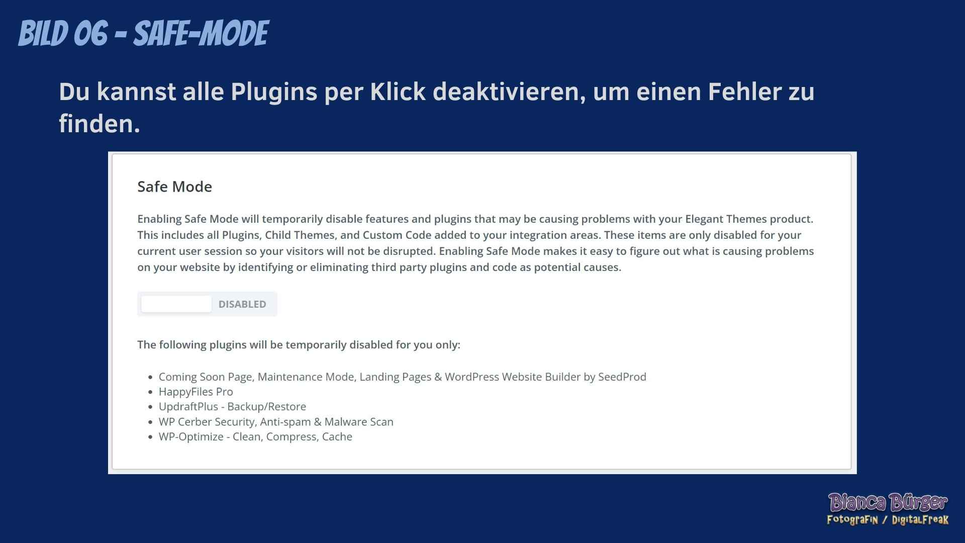 2022-11_DF_Divi_Support-Center_06_1920px Was ist das Support-Center bei Divi? 6