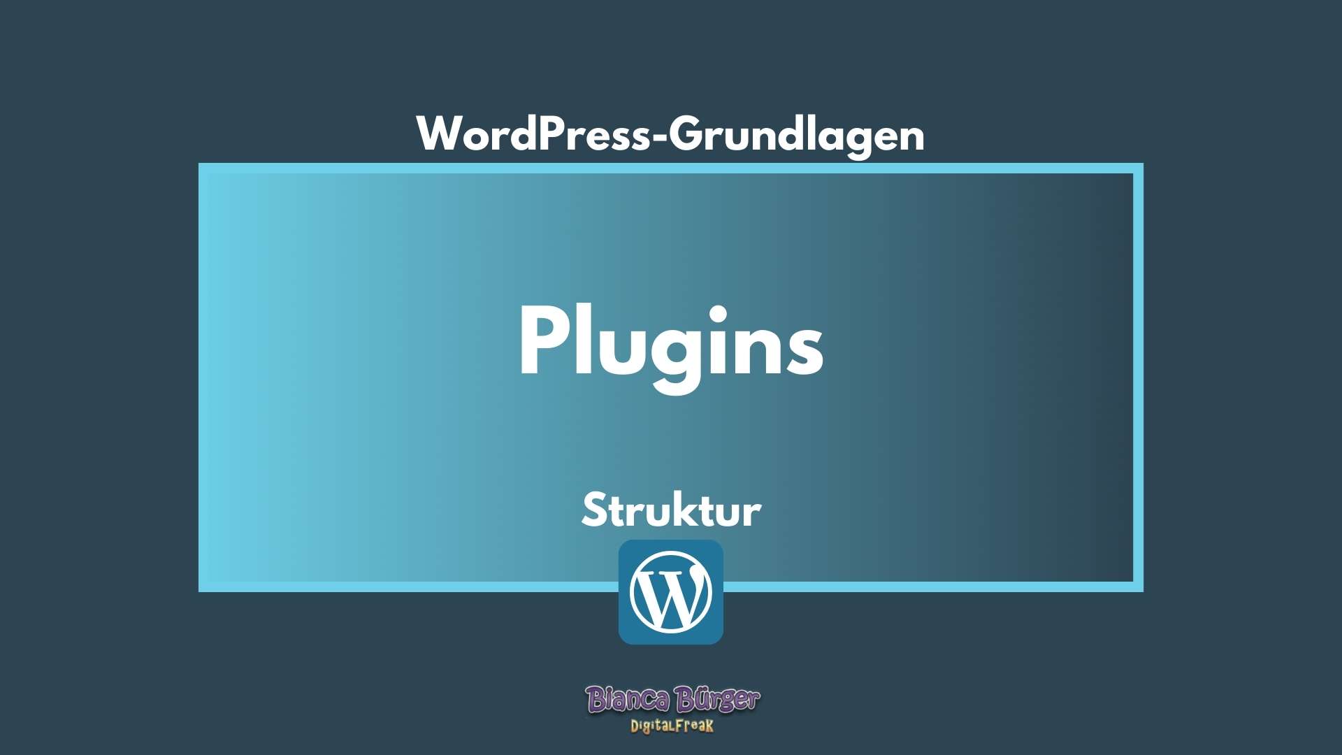 Was sind denn Plugins bei WordPress? 3