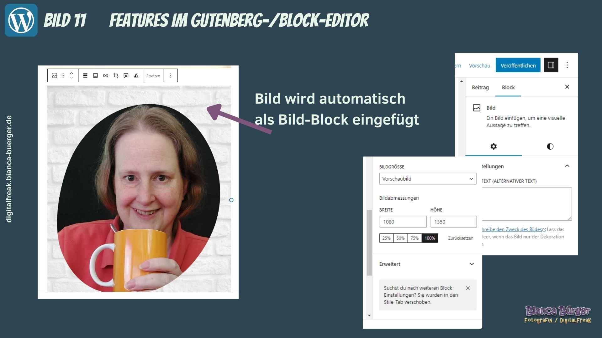 WordPress-Release 6.2 2