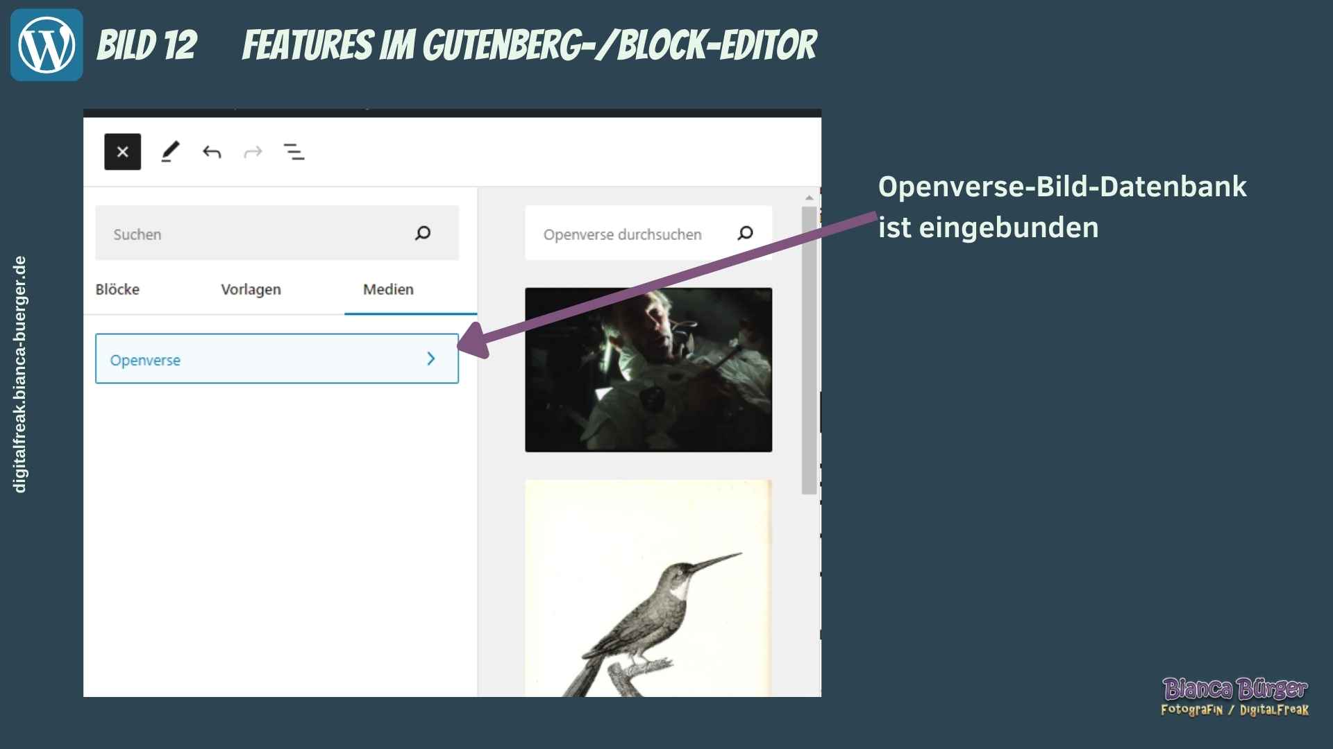 WordPress-Release 6.2 3