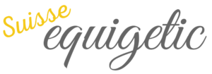 Logo von suisse equigetic